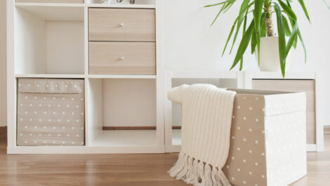 Neutral room with storage organizers and a plant