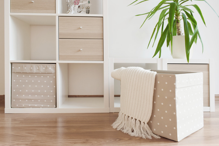 Neutral room with storage organizers and a plant