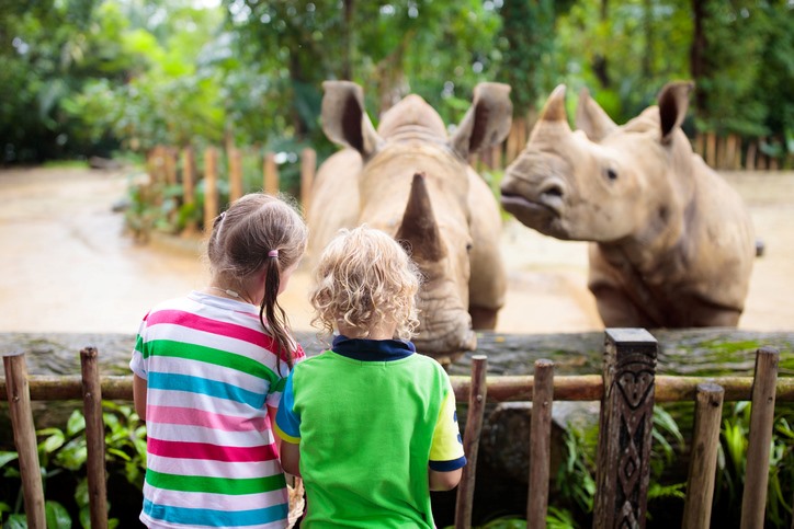 Two young children admiring a pair of rhinos at the Memphis Zoo.